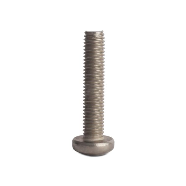 SCREW PAN HEAD SS304 245-6*20